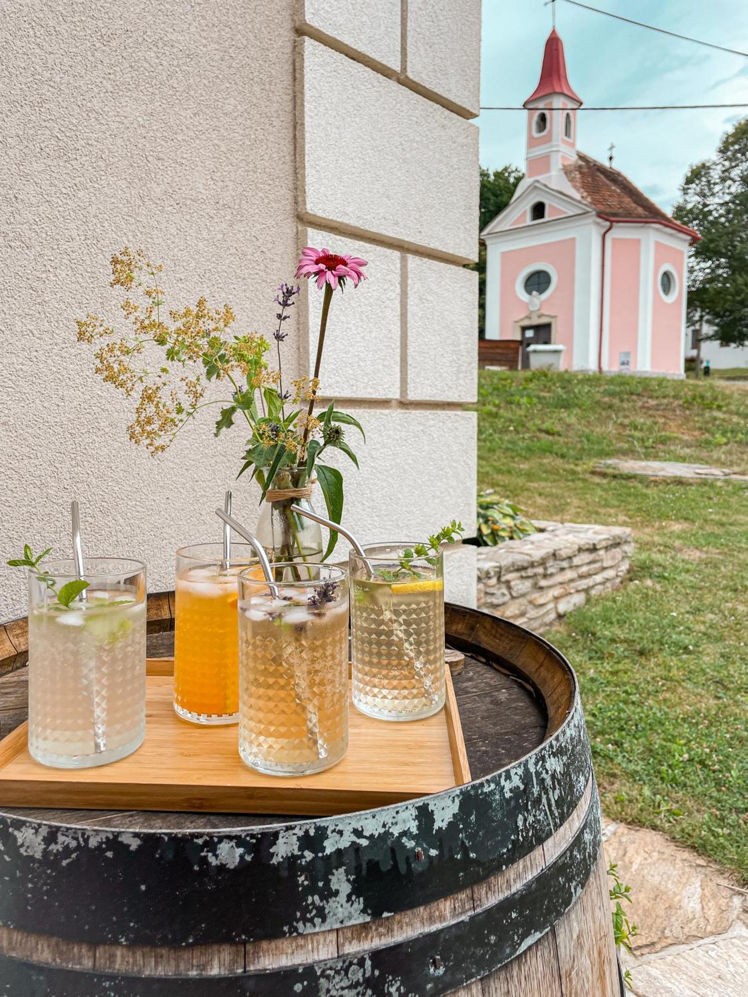 Penzion U Kaplicky Znojmo Exteriör bild